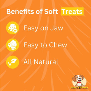 Cheezy Soft Chewy Dog Treats 8oz