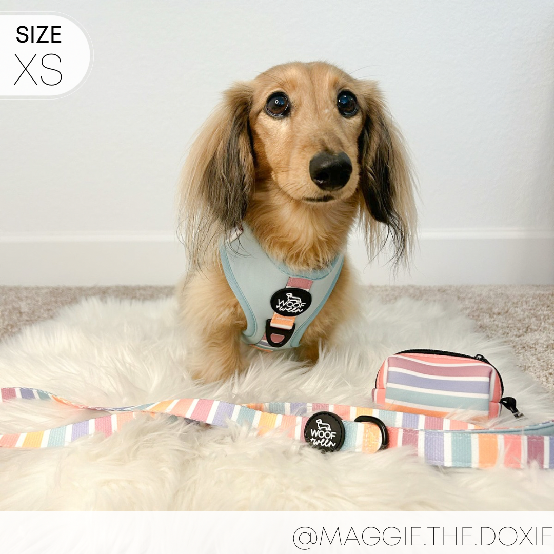 Adjustable Harness - SHERBET SUNSET