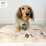 Adjustable Harness - SHERBET SUNSET