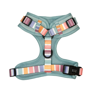Adjustable Harness - SHERBET SUNSET