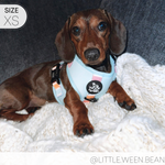 Adjustable Harness - SHERBET SUNSET