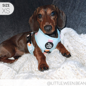 Adjustable Harness - SHERBET SUNSET
