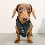 Adjustable Dog Harness - EVERGREEN POLKA DOT
