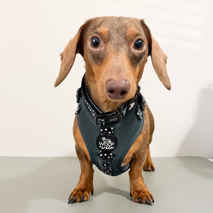 Adjustable Dog Harness - EVERGREEN POLKA DOT