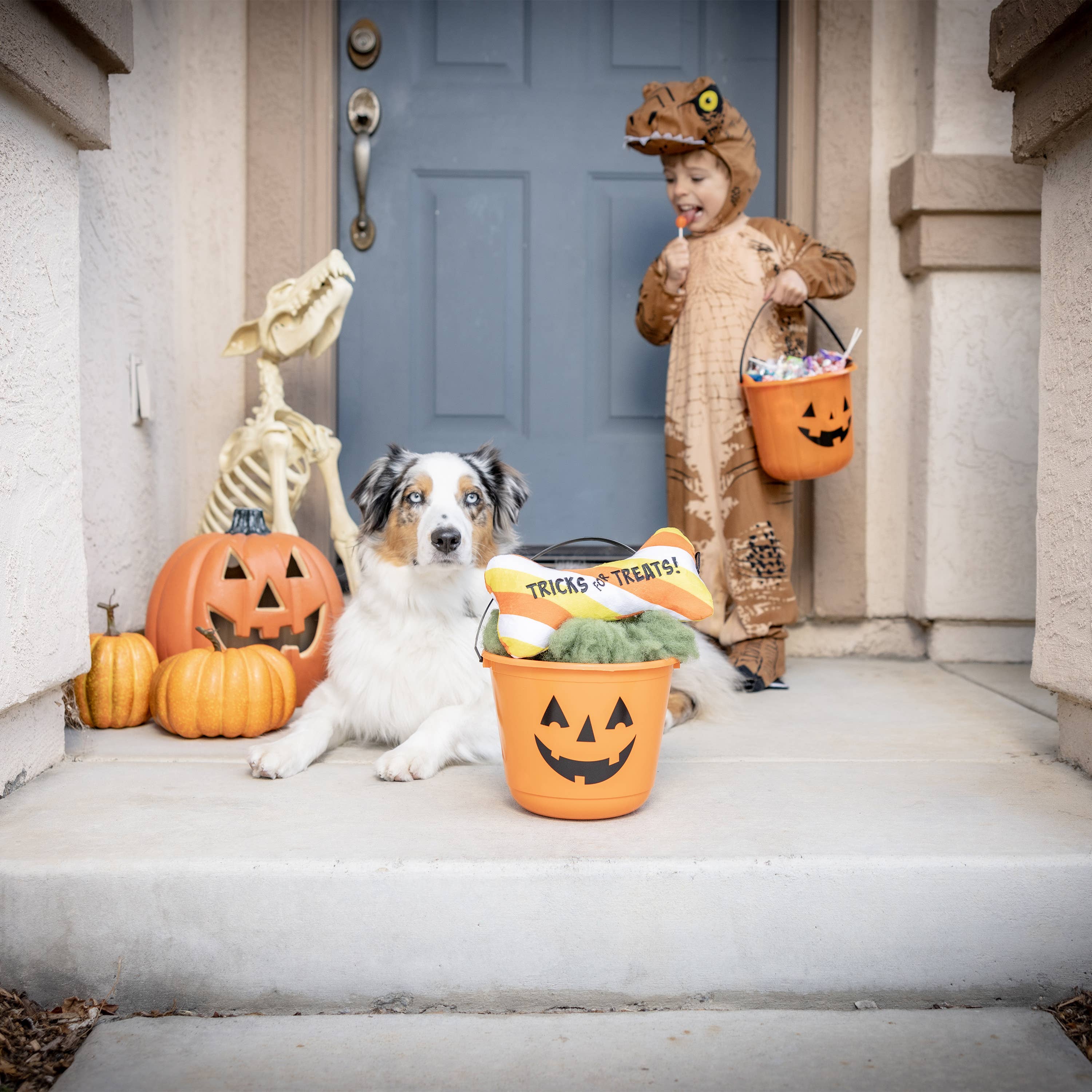 Tricks for Treats Bone For Dogs