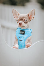 Dog Adjustable Harness - Blumond