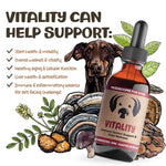 MycoDog Vitality Tincture