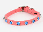 BioThane MicroBling Collars