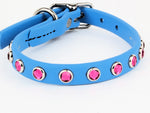 BioThane MicroBling Collars