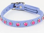 BioThane MicroBling Collars