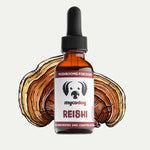 Reishi Mushroom Tincture