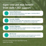 USDA Organic Daily Releaf CBD Oil