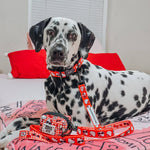 Dog Waste Bag Holder - Hello Kitty® Red Classic