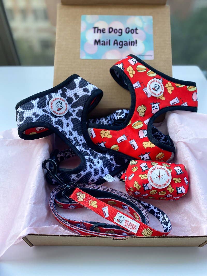 Fried Chicken Sandwich Poo Bag