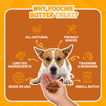 Cheese Soft & Chewy Dog Treats 8oz
