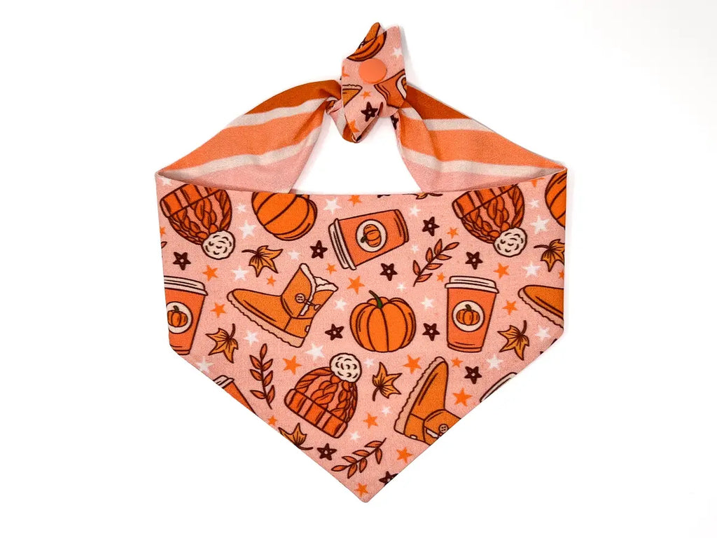 Boho Pumpkin Spice Reversible Tie On Dog Bandana for Fall