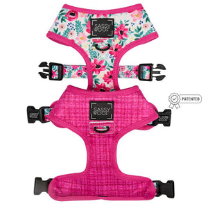 Dog Reversible Harness - Floral Frenzy: Large