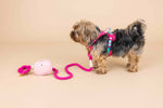 Stasia Dog Harness | No Pull Dog Harness | Pink Dog Harness