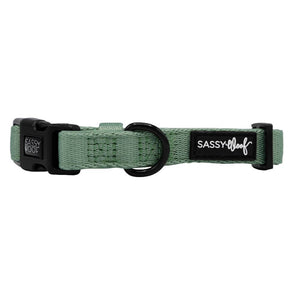 Dog Collar - Sage: Large