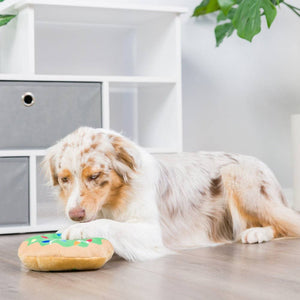 Lit Donut For Dogs