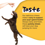 Healthy Pup Glands, Scoot Support for Dogs - 120 Soft Chews