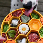 Honeycomb Design eBowl Enrichment Slow Feeder Bowl for Dogs