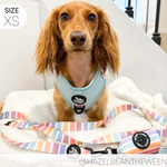 Adjustable Harness - SHERBET SUNSET