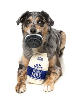 FuzzYard Milk & Cookie Plush Dog Toy 2pk