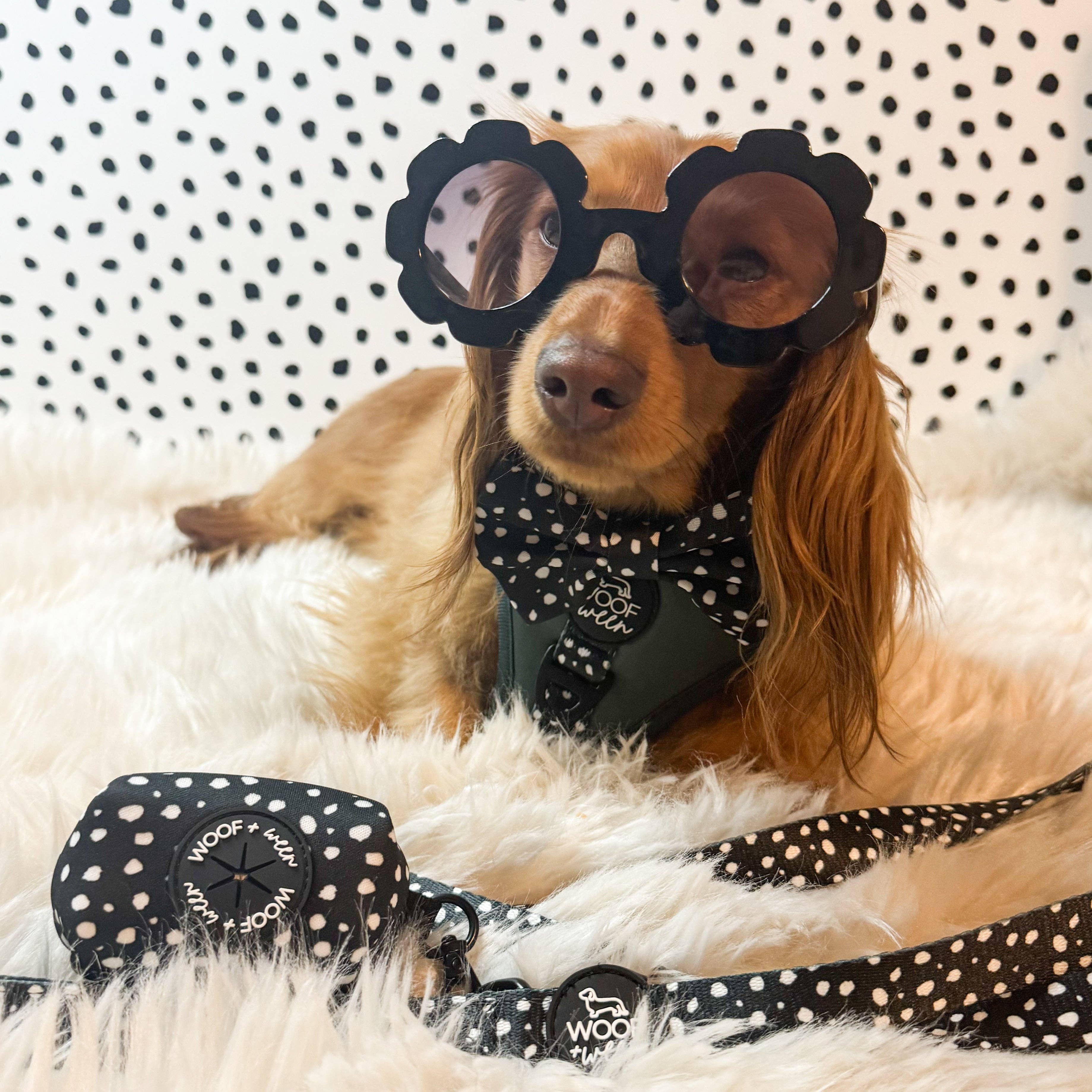 Adjustable Dog Harness - EVERGREEN POLKA DOT