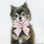 Dog Sailor Bow - My Melody™