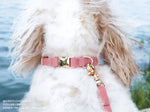 Perfect Pink Waterproof Dog Collar
