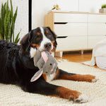 BARK Itty & Bitty the Bunny Slippers