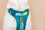 Joey Dog Harness | No Pull Harness | Teal Dog Harness