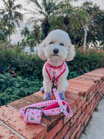 Dog Waste Bag Holder - Western Barbie™