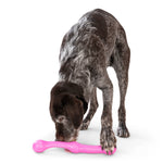 Zwig® Dog Toy for Play, Tug, and Fetch