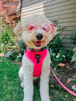 Dog Adjustable Harness - Neon Pink