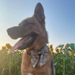 Noble Hound Plaid Sailor Bow Tie