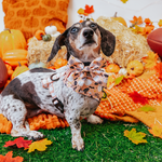 Dog Sailor Bow - Squad Ghouls