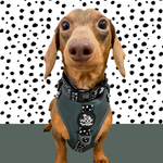 Adjustable Dog Harness - EVERGREEN POLKA DOT