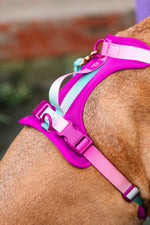 Joana Dog Harness | No Pull Dog Harness | Purple Dog Harness