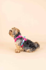 Stasia Dog Harness | No Pull Dog Harness | Pink Dog Harness
