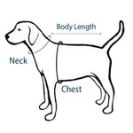 Hip Doggie -  Max's Closet Royal Blue Polo