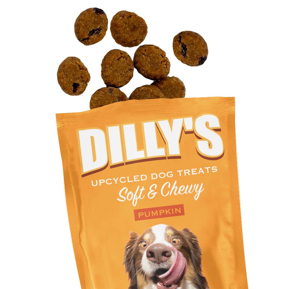 Pumpkin Soft & Chewy Dog Treats 12oz