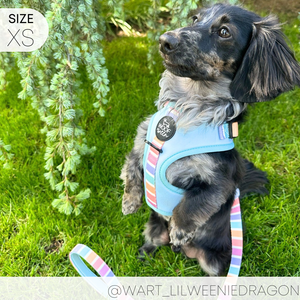 Adjustable Harness - SHERBET SUNSET
