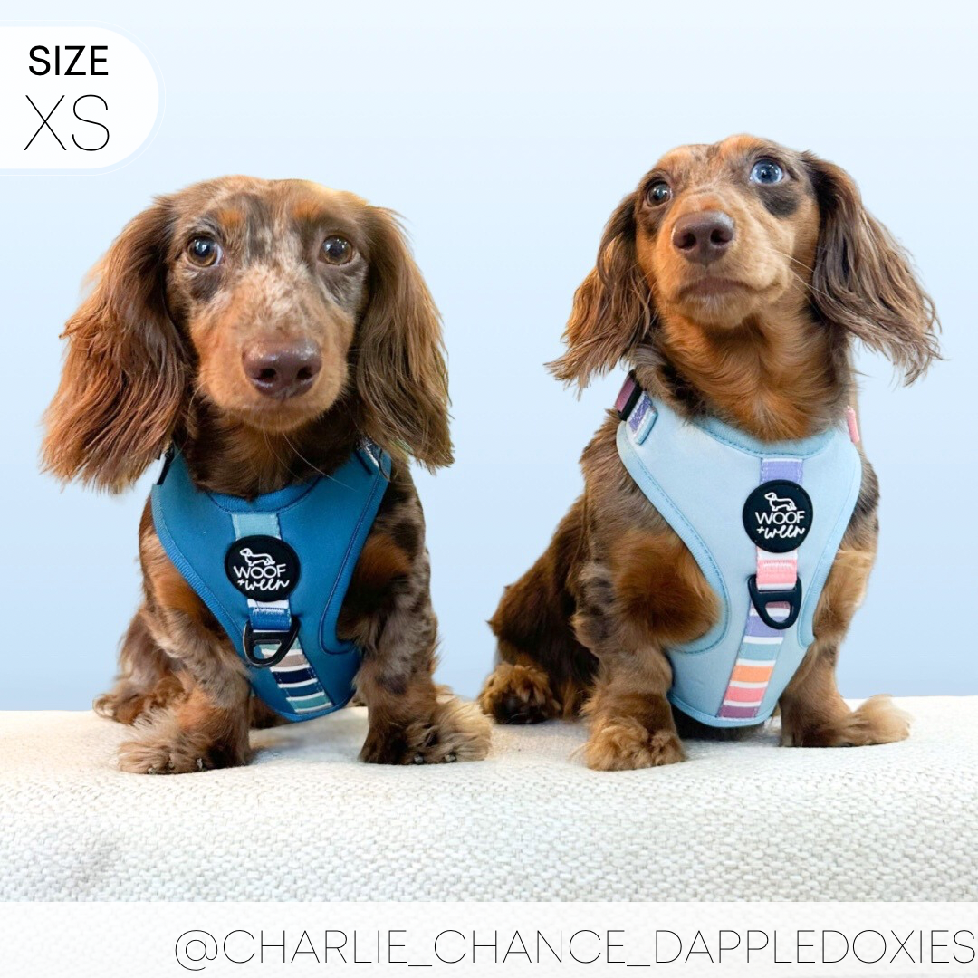 Adjustable Harness - SHERBET SUNSET