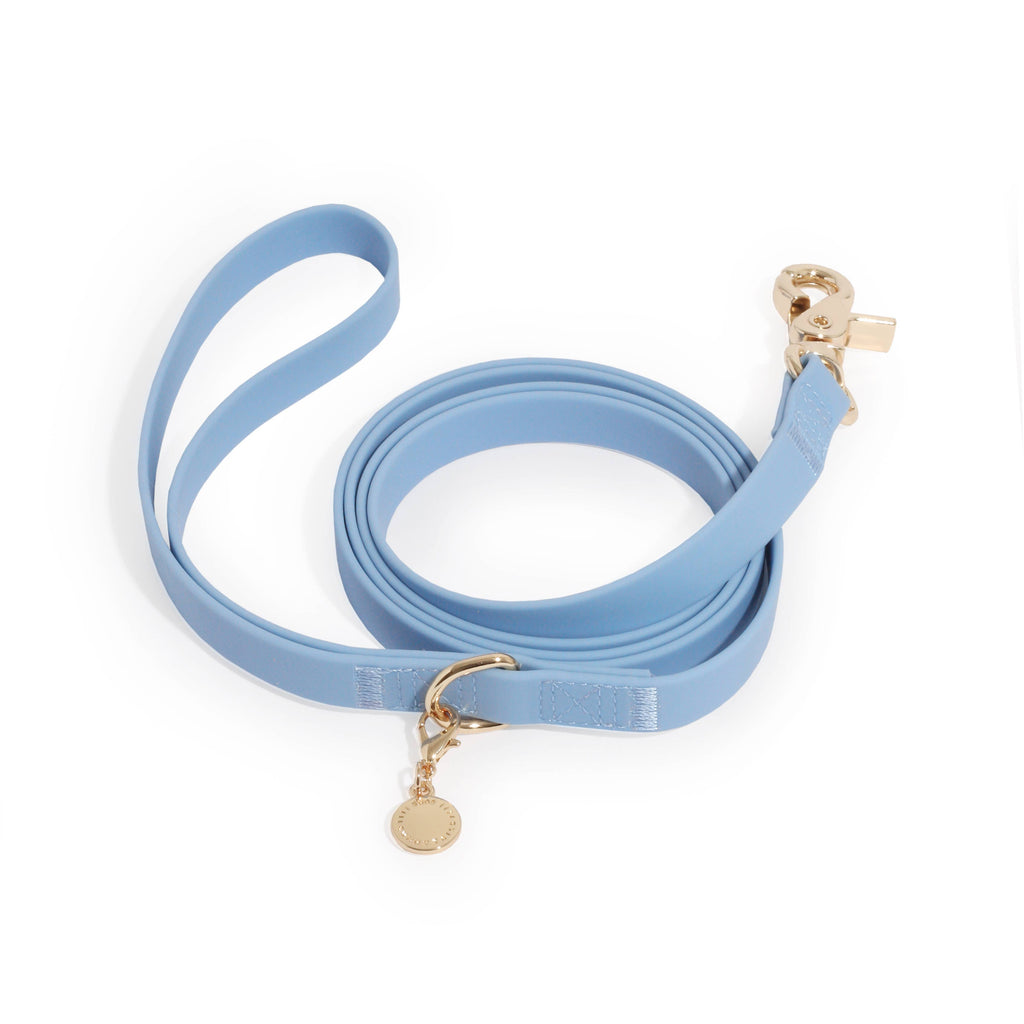 Dog Leash Waterproof - Blue, Lightweight