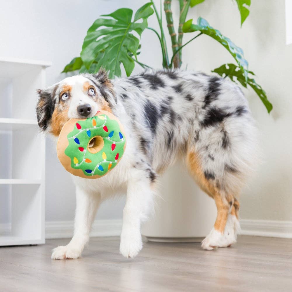 Lit Donut For Dogs