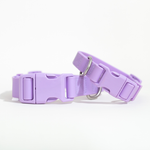All-Weather Dog Collar