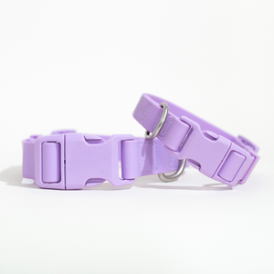 All-Weather Dog Collar