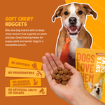 Cheese Soft & Chewy Dog Treats 8oz